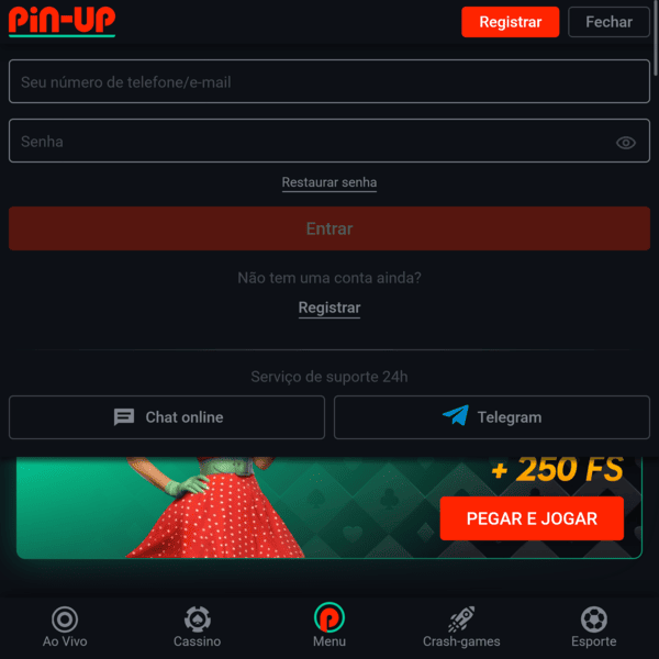 Pin-Up Login Form